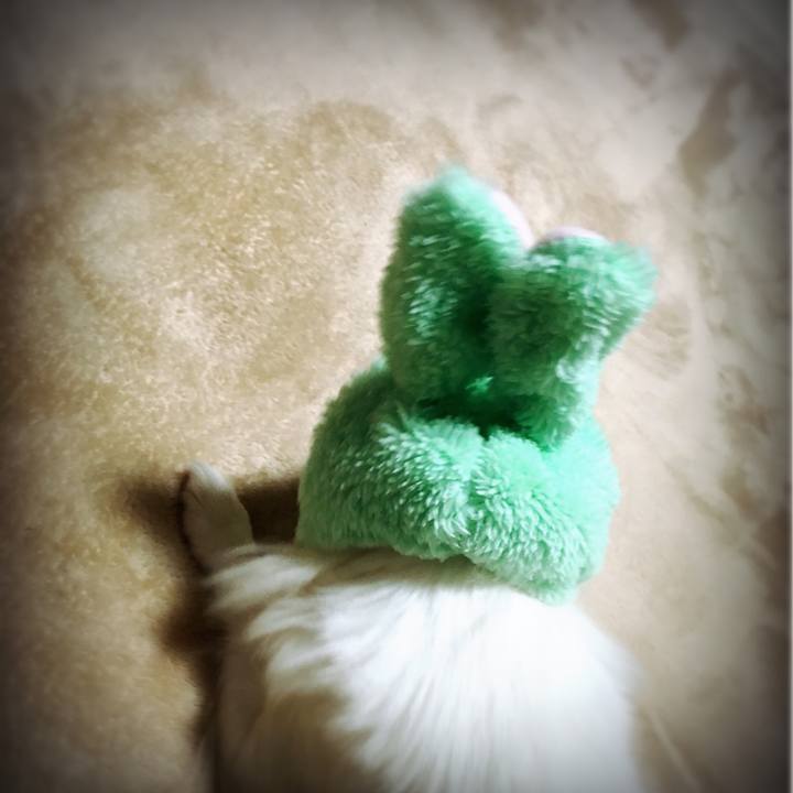 65525012 1378 45d4 a709 294f81ec694e 1515961142484