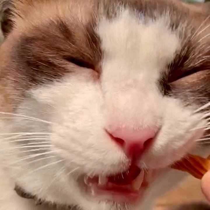 65525cd4 6243 4fff 87d1 d2de1e6d13b6 1756176471289