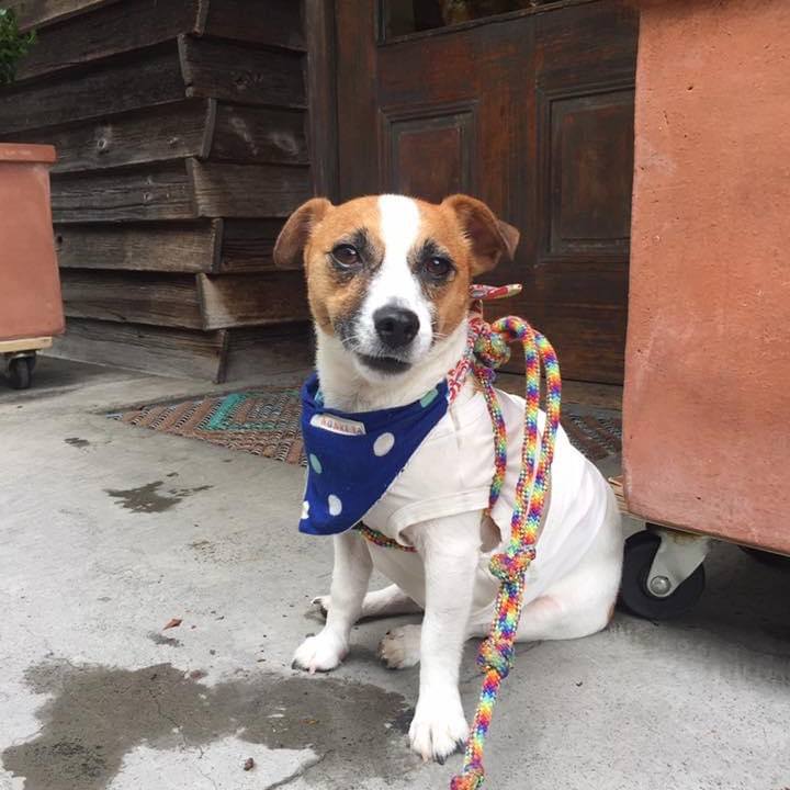 65529ccd 55f6 43b8 b318 d15b4975cec6 1659226517477