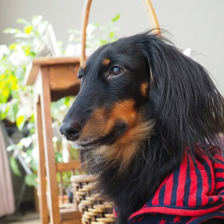 6552a594 50e4 4199 bc9c 7ffe9391ef42 1523670630602