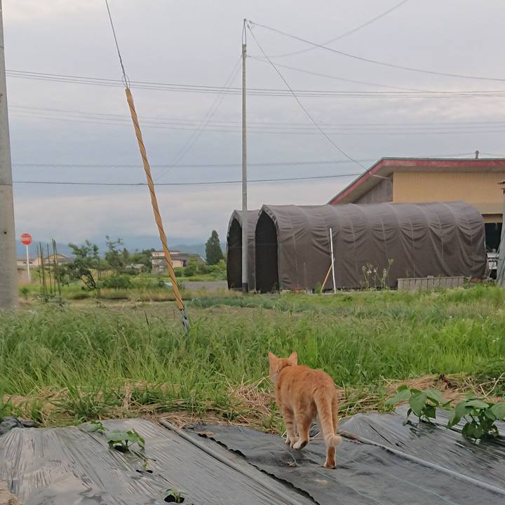 6552a69d a3a7 4c3a af54 aa0d565975a5 1592559602503