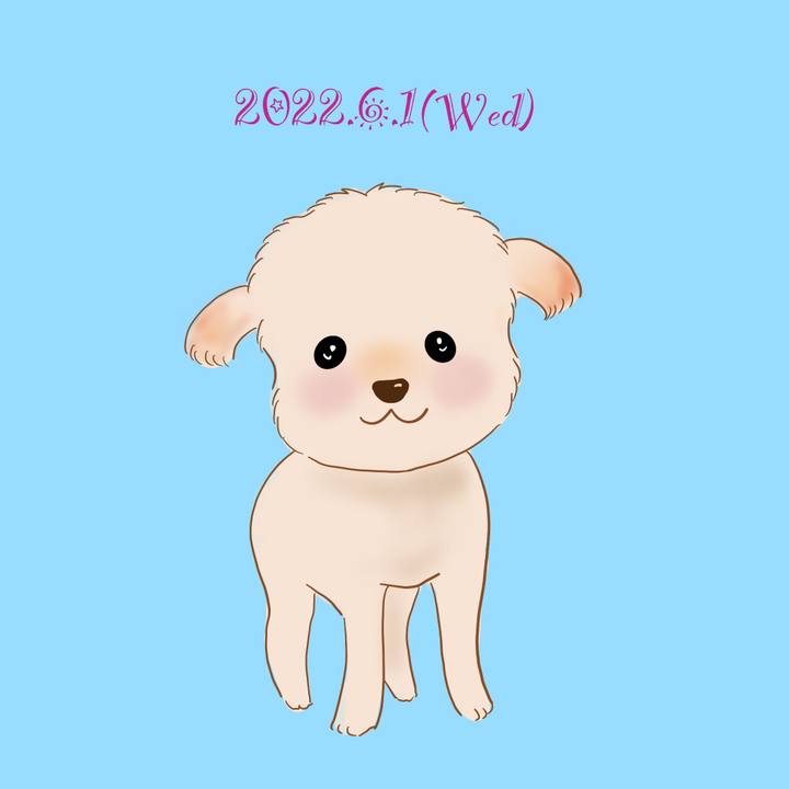 6552e4c2 c4ac 46ed 8f97 8bc92969fbc9 1654092760867