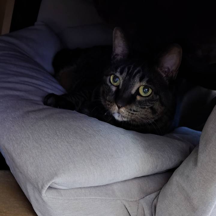 6552e4f1 5e87 4c18 ae02 9fd0cb08b5b7 1774342327669