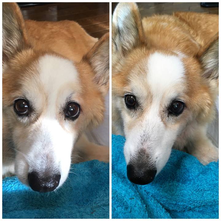 65532d15 1b83 478d a1ee 34895d3c15dc 1576376333623