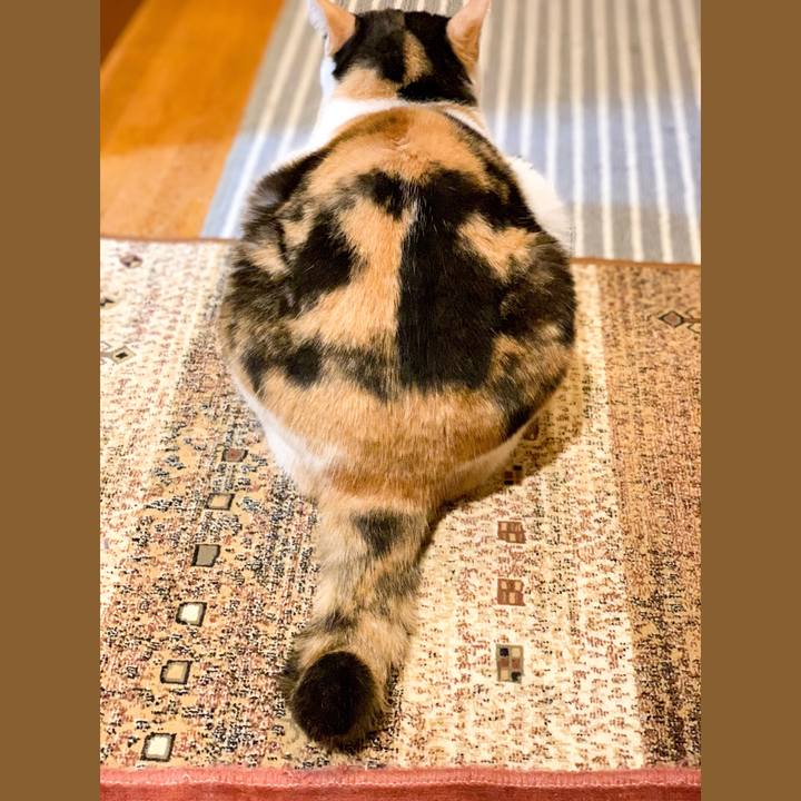 6553307a 1cba 497c 9136 6a510ccdce3f 1547431360169