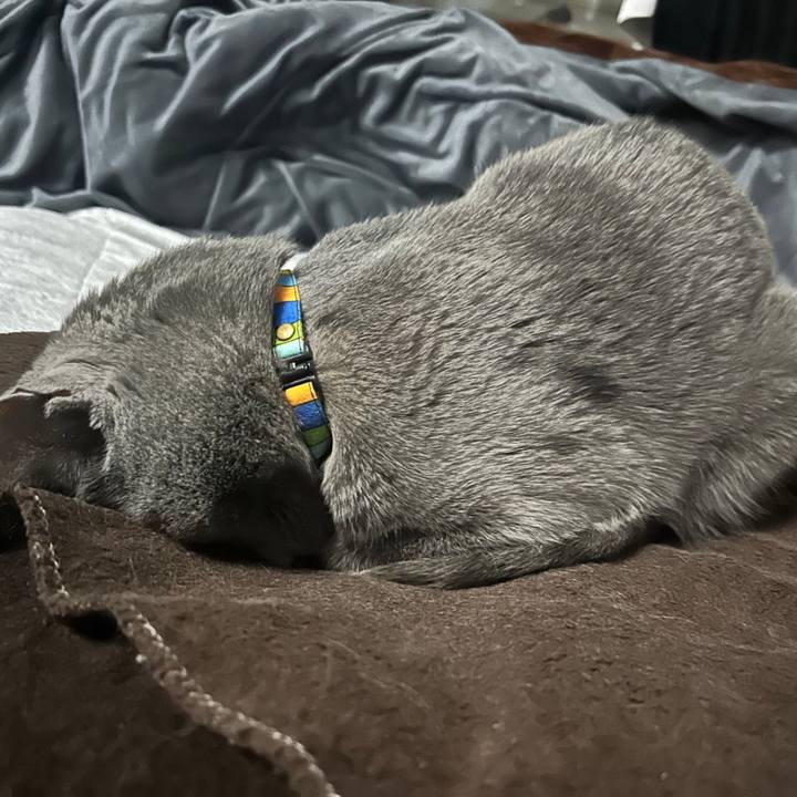 65539b0d a026 491a a851 7d2c268ba3da 1701597136343