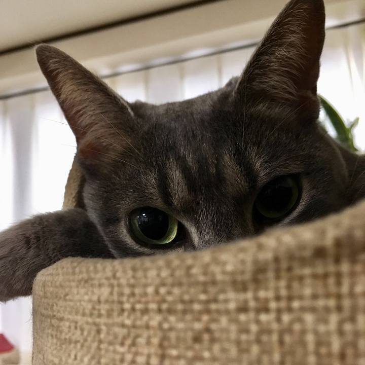 6553acc0 164c 402b 923a a89e68505d11 1568601757100