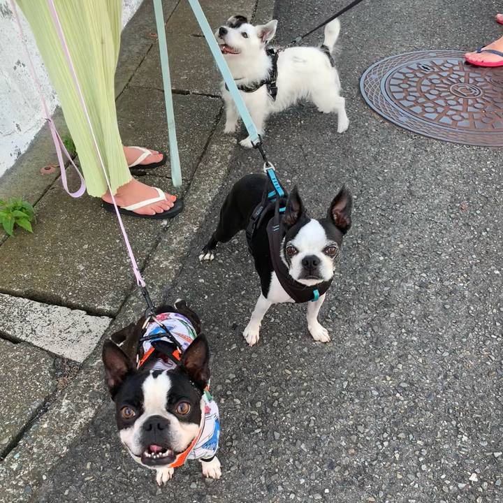 655426c0 735f 4f0c 8d9d d2d69e471ae3 1720481451385