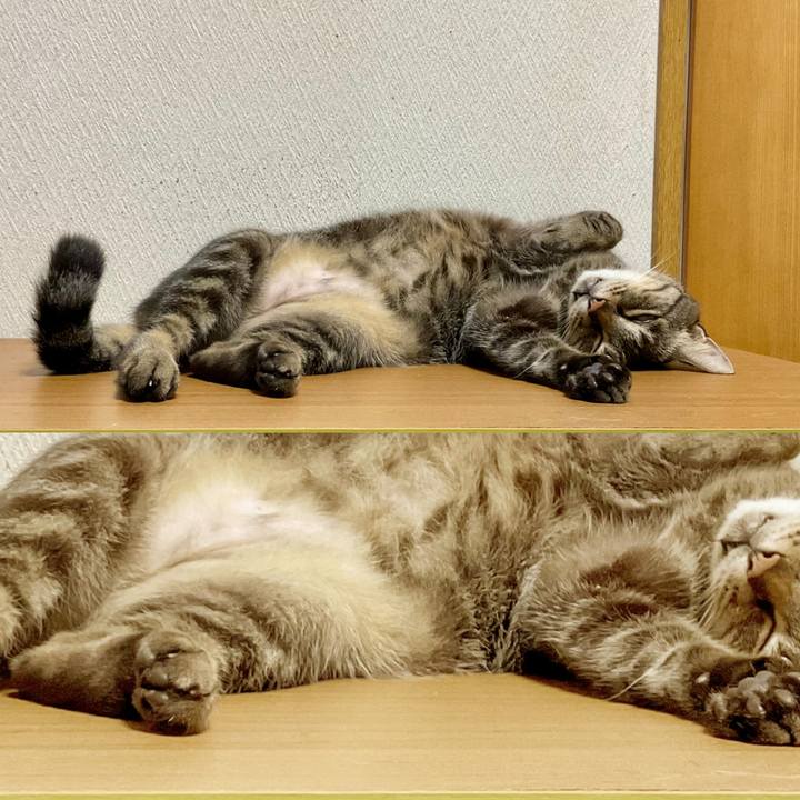 65543eb8 0c9c 47a1 ac26 5f5d389cbe64 1754838251300