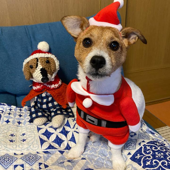 65543fb6 f1bf 4608 a8e7 c565ae672a8e 1608891667976