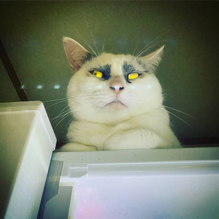 65547670 c65a 46fe 8afe 11e1a055847b 1633186000954