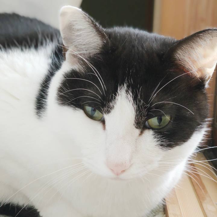 655483b5 4c6b 42bc 90b2 2ea1101584c7 1552095197370