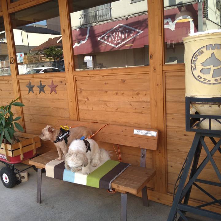 65548fc0 6949 4cf8 ac33 0efcc8714c9e 1633563101303