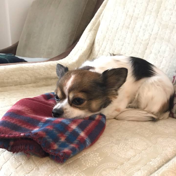 6554e872 b461 458d a92e 283512fc0c84 1550024220206