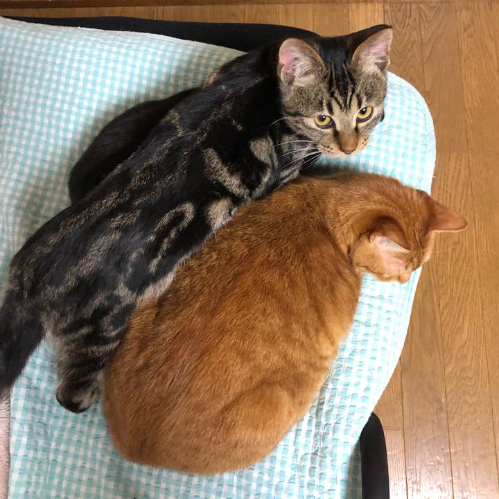 65554a2e 84f2 42b1 b48b 305c02199010 1737374453817