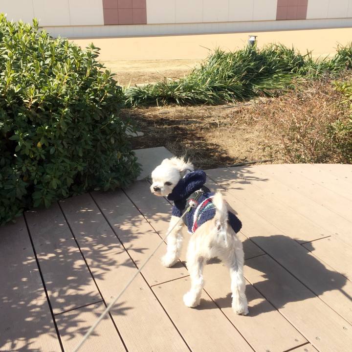 65554da4 35e8 489a ad32 8119c5c99206 1548760168885