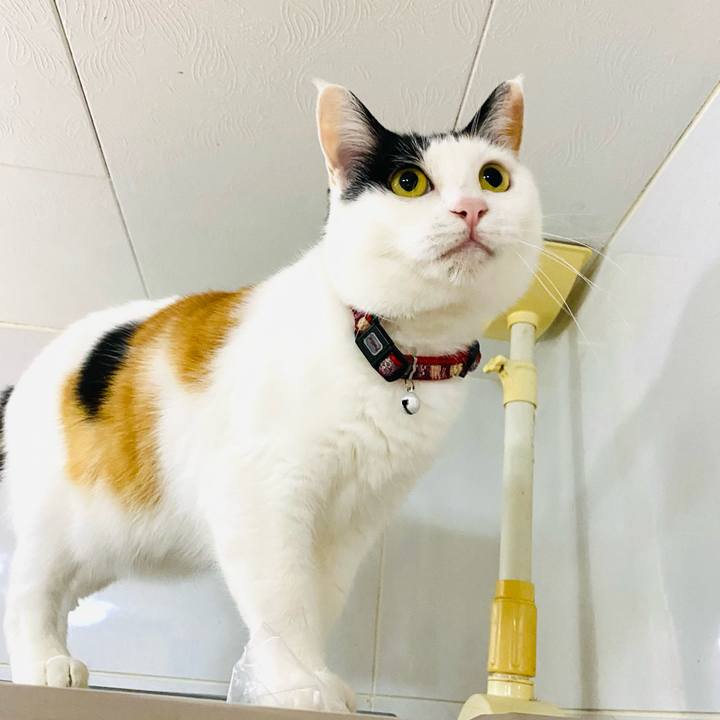 65555d25 c210 4253 beca 1201ffc5c3f8 1681211964030