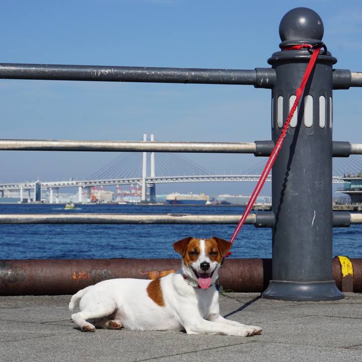 65557fc9 7217 4a25 8667 b7847d23be7f 1526202155920