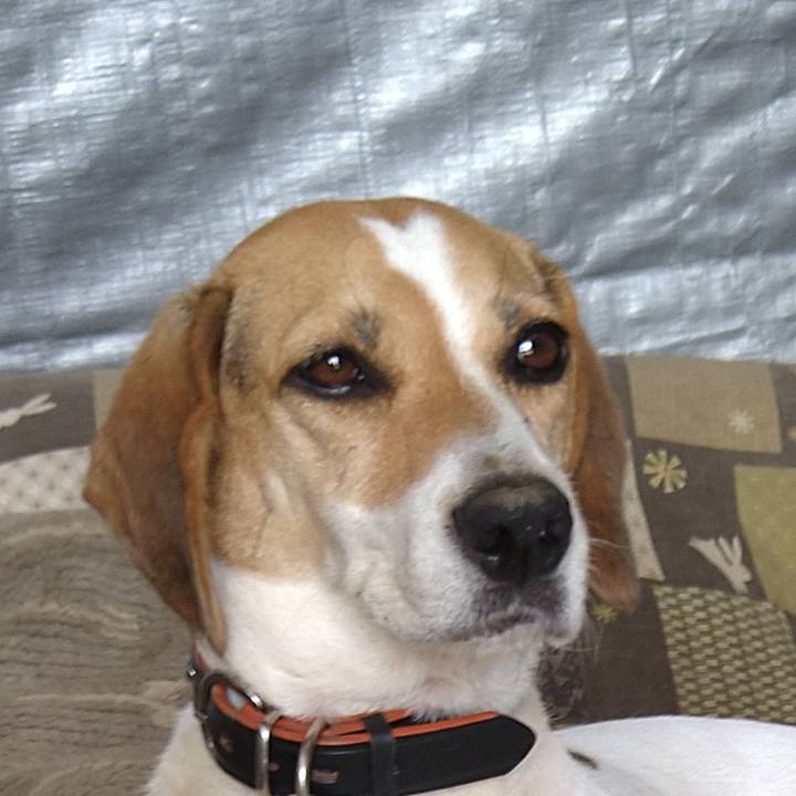 65559648 8939 4552 8939 766ade23989e 1630583303295