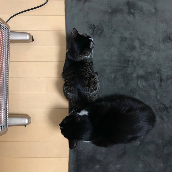 6555cbbe 6879 4aeb a2df dc80c8e23fc9 1548120764144