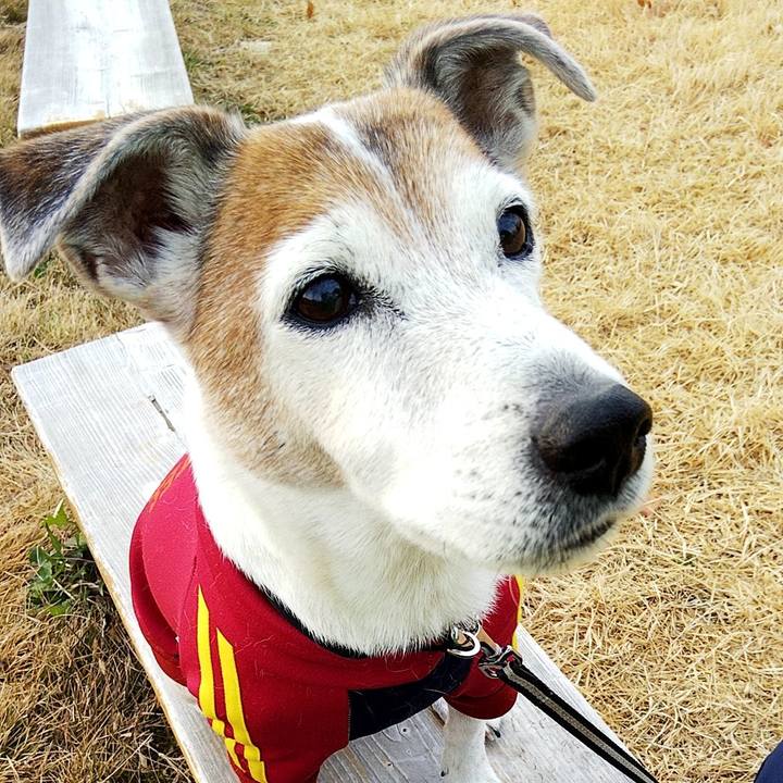 65560966 4a7f 4c4e aec1 e4e22ed80e3c 1578018520945