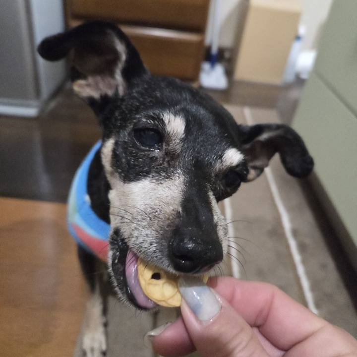 655610a2 09a6 4a70 bf32 833e7aec7f14 1772826563276