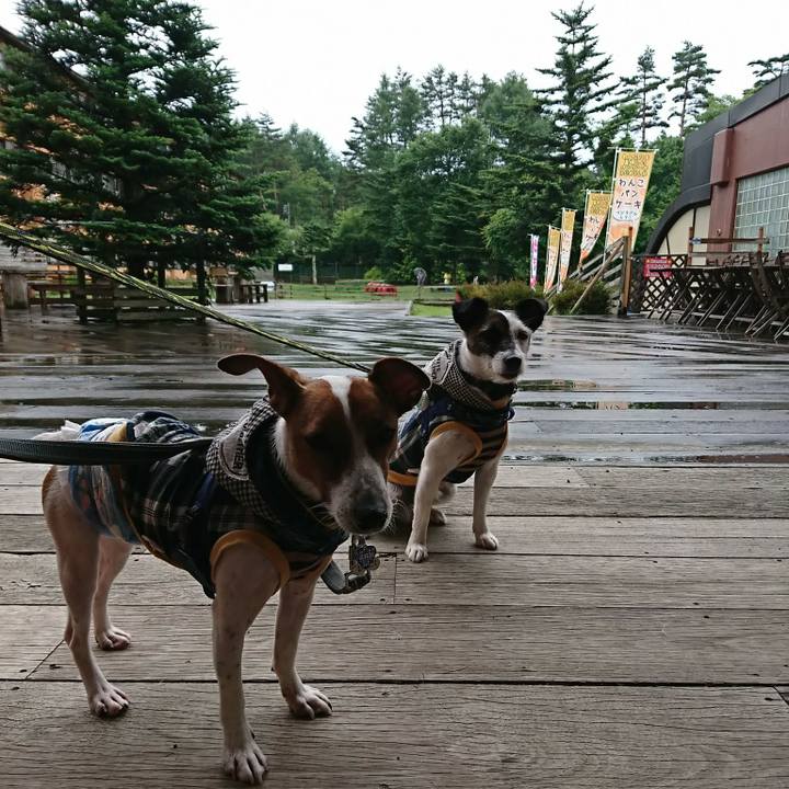 65566477 f6b7 49d7 8e2a c4903048c67c 1531293669207