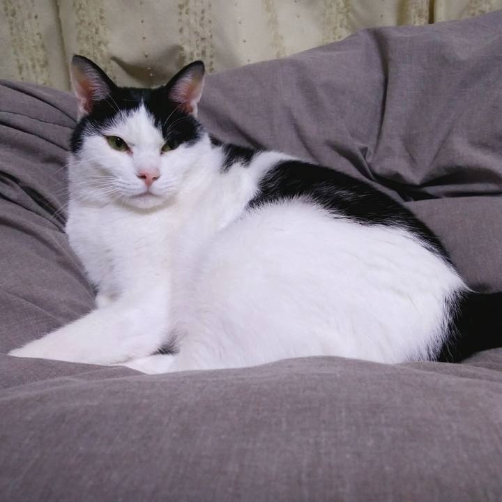 655684d2 e69c 4c00 9e3b 63234e4f216d 1555416536513