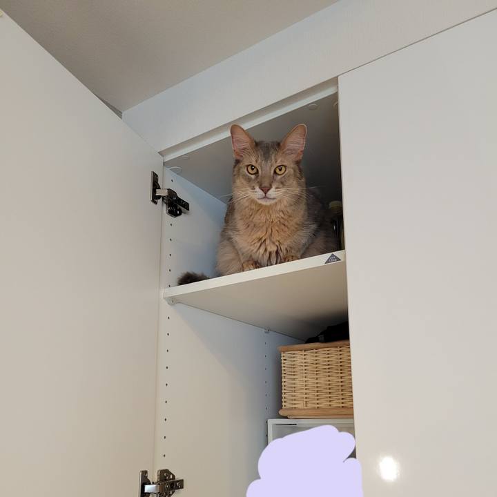 6556a20d d83c 4edc b86c ae25227e5191 1630119836995