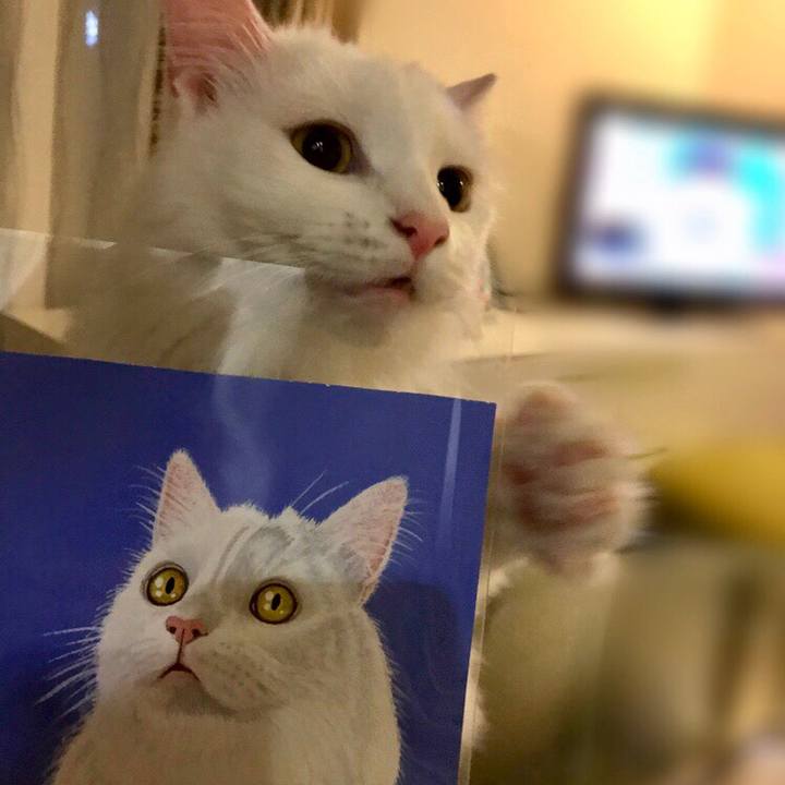 6556d685 79a3 4c57 a021 2543391c1c1a 1558012231322