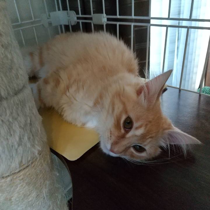 6556ebc6 a11a 4143 a0e0 85c0ba893bd0 1612915926651