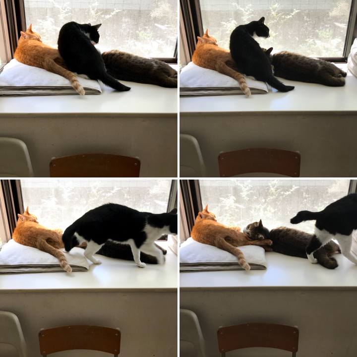 655764a7 0d0c 4de2 9fa6 946304403b24 1525063956563