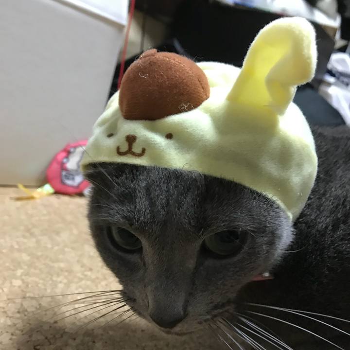 65577fb9 9053 435f 88e8 cc882a5c43c1 1512895417546