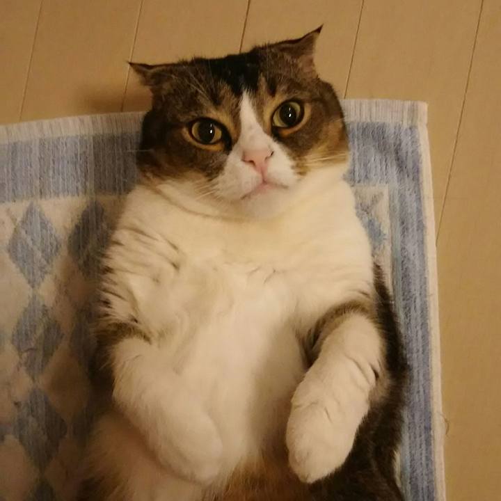 6557841d ea16 4372 a4cf 136c1676f1ac 1526737103609