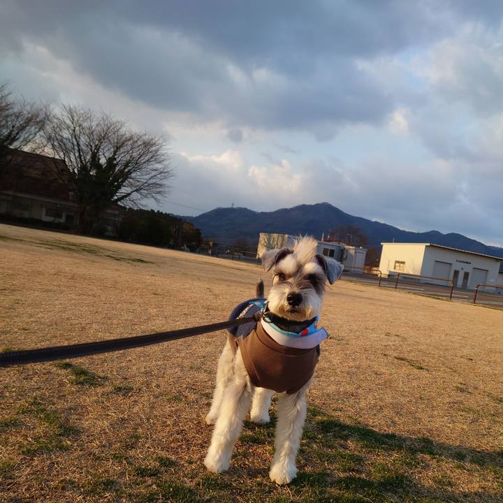 65578b8a af18 4ed6 a6c5 65a0df355800 1774082816072