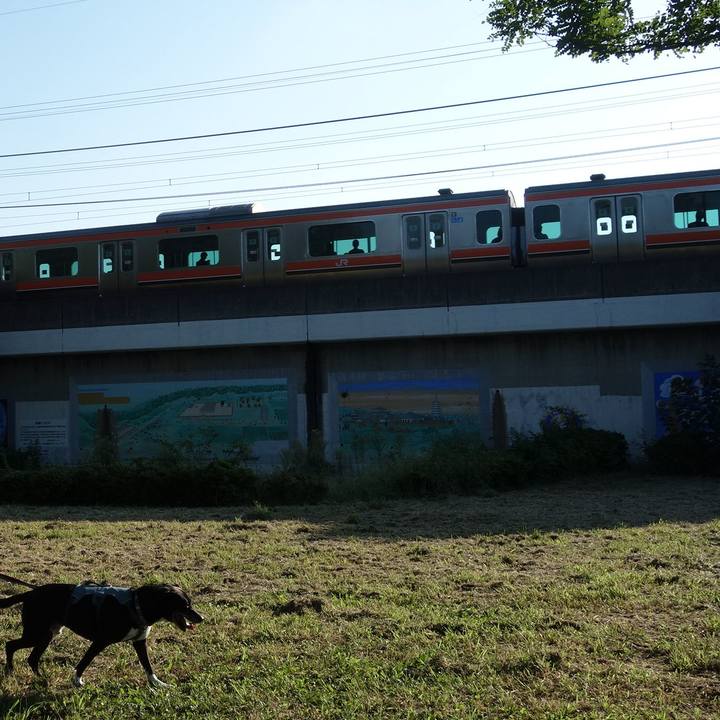 65579dfc fc9b 414f b695 99443e0e0bbc 1726098192854