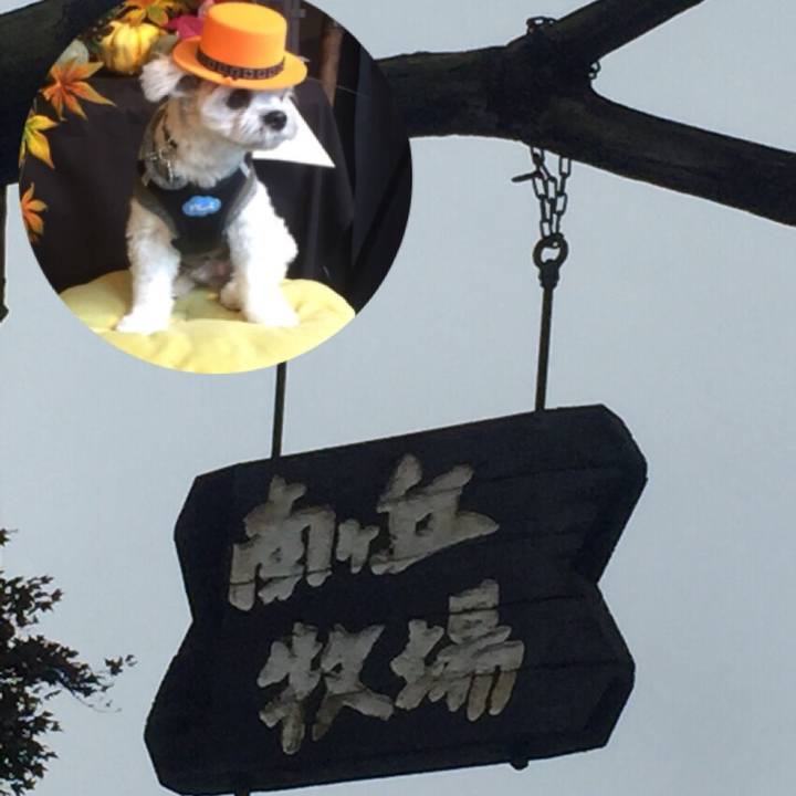 6557c613 7e38 46e5 bf66 f031b680c25f 1510141092772