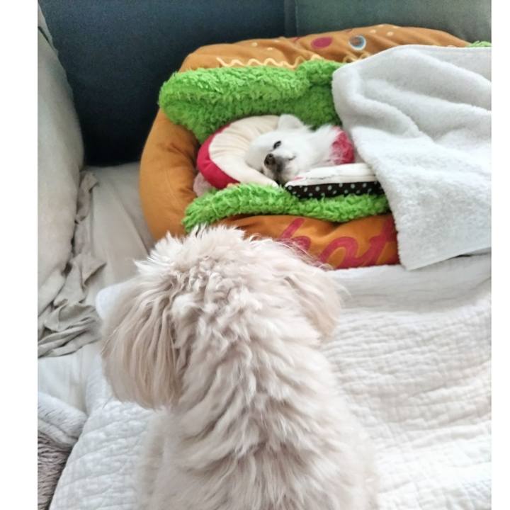 6557e409 b9c9 4b37 ae1f 1bfbd8964ea2 1688096225318