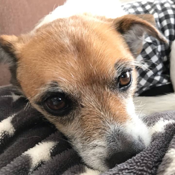 6557f1c1 9084 4338 b519 51880ebe9a9b 1549522211704