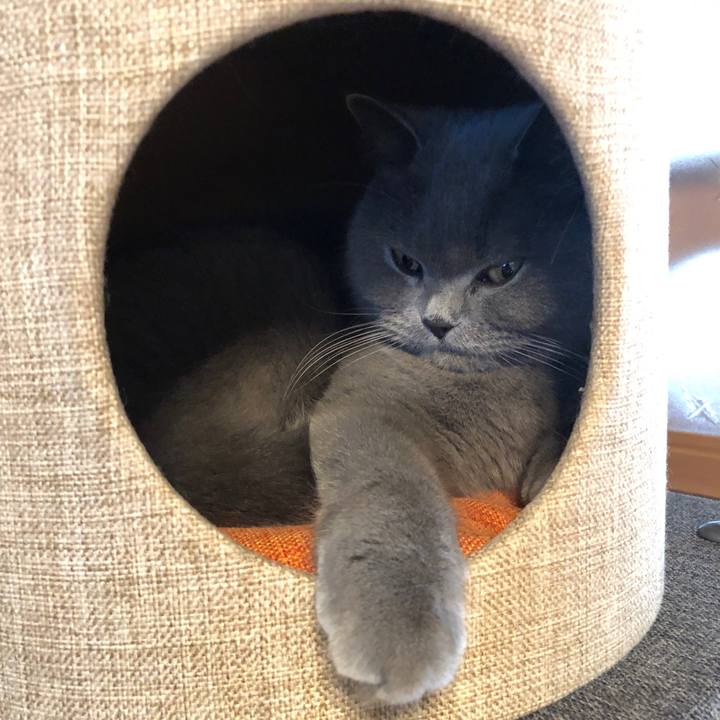 6557f928 9c43 40d5 9f4a bb4b07ebae22 1580813383868