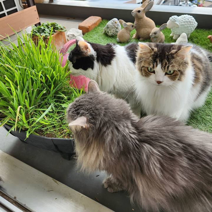 6557fb02 509b 4123 ba22 7e4299bca801 1700008391417