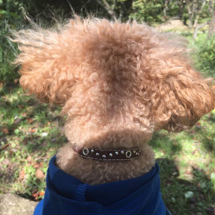 6557fe39 db30 437f bc32 1714dc2e113c 1538446222367