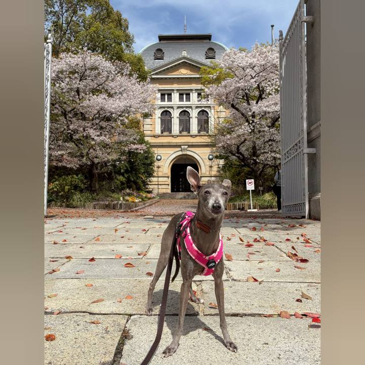 65580214 672b 40b5 9cd0 1ee25e2d22ea 1775466534046