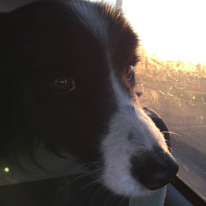 6558046a a41c 4ef1 bdc0 f2198d7e4417 1546469244801