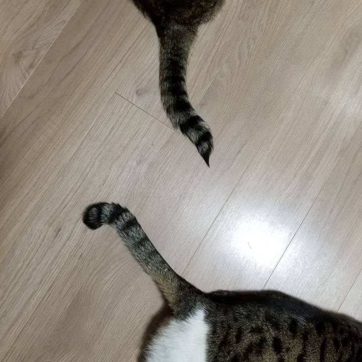 6558076c 86aa 4dbc a70b f9f3bbc780ba 1616362404603