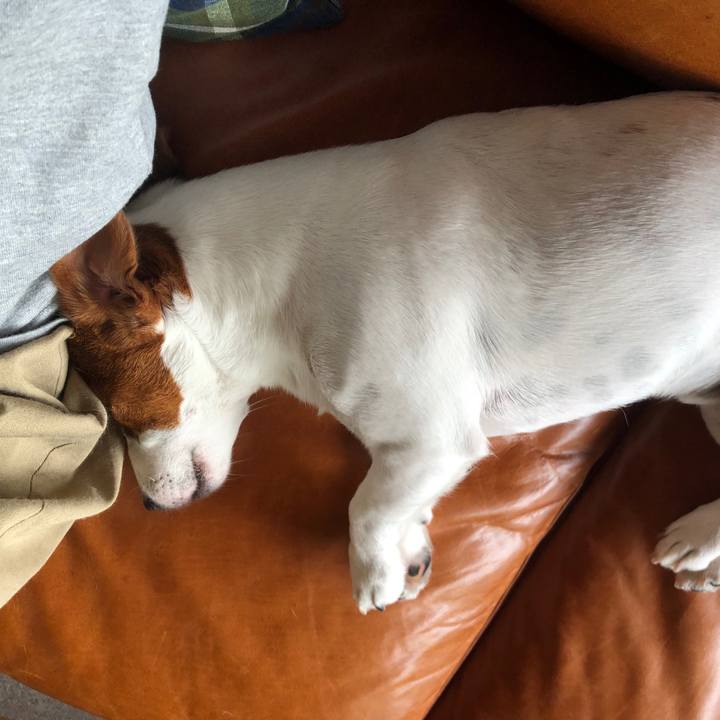 65580aad 5008 4165 88f7 32ae47bfd21d 1562928493272