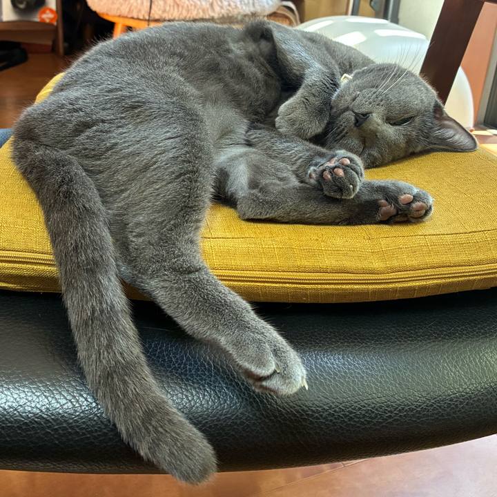 655816f4 4943 4c48 b000 8def76ff36f9 1763127410882