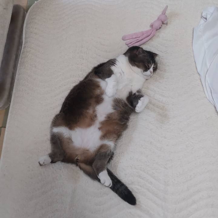 65581d42 1662 48cc 82e1 437ec307a41e 1621139546370