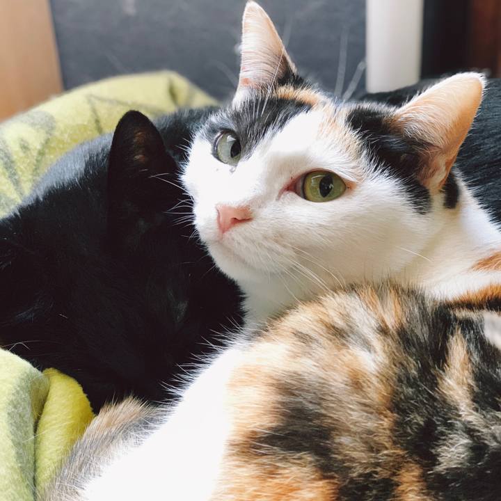 65585a24 8ca8 48dc 8232 0e321925d3a7 1555813672408