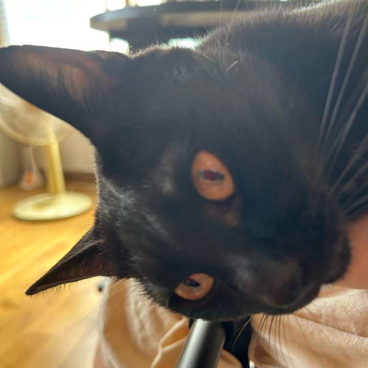 65585ae9 a64b 4145 b412 a6fd943171d3 1726273688332